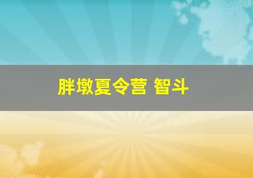 胖墩夏令营 智斗